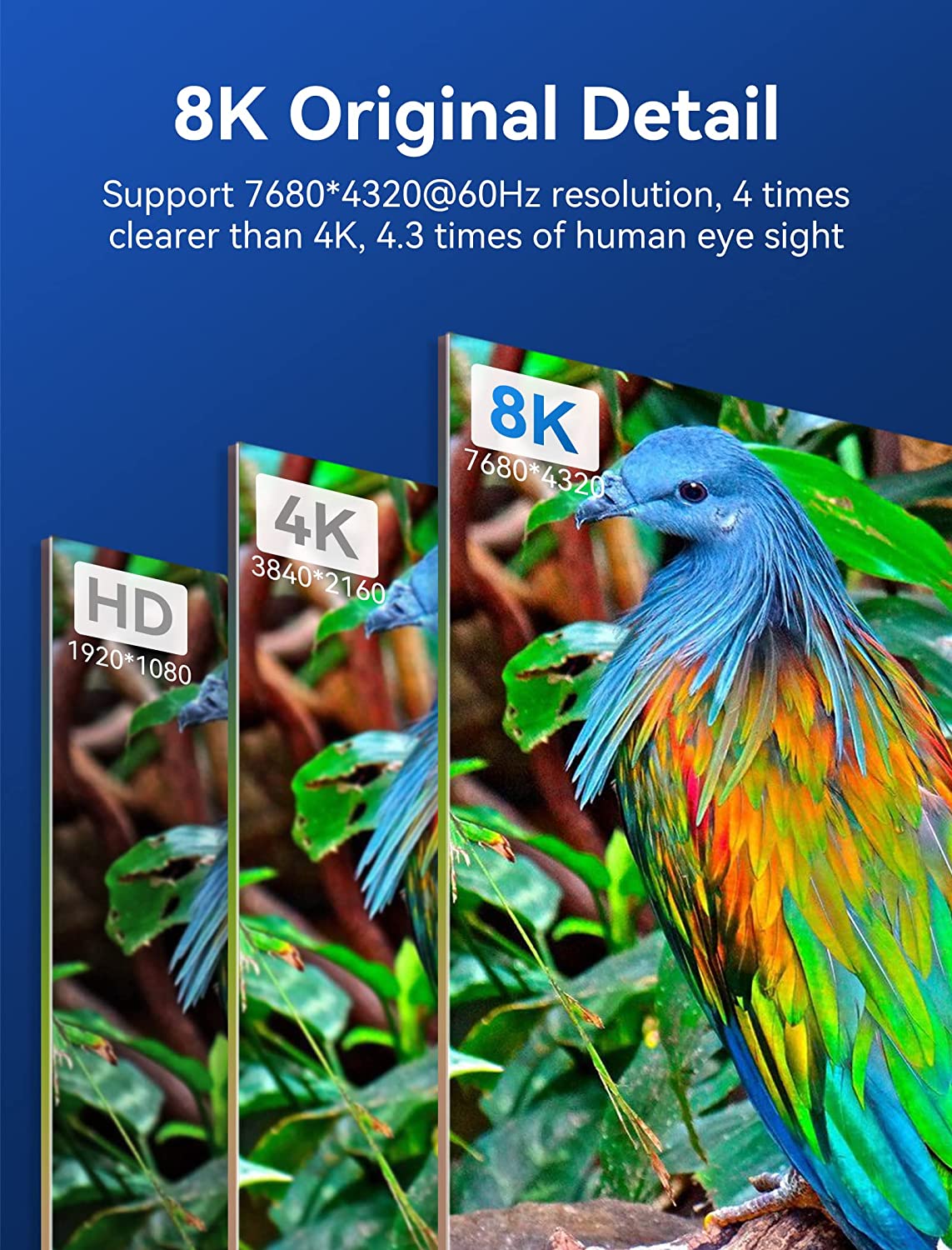 VENTION 8K HDMI cable displaying vibrant colors and details at 7680x4320 resolution